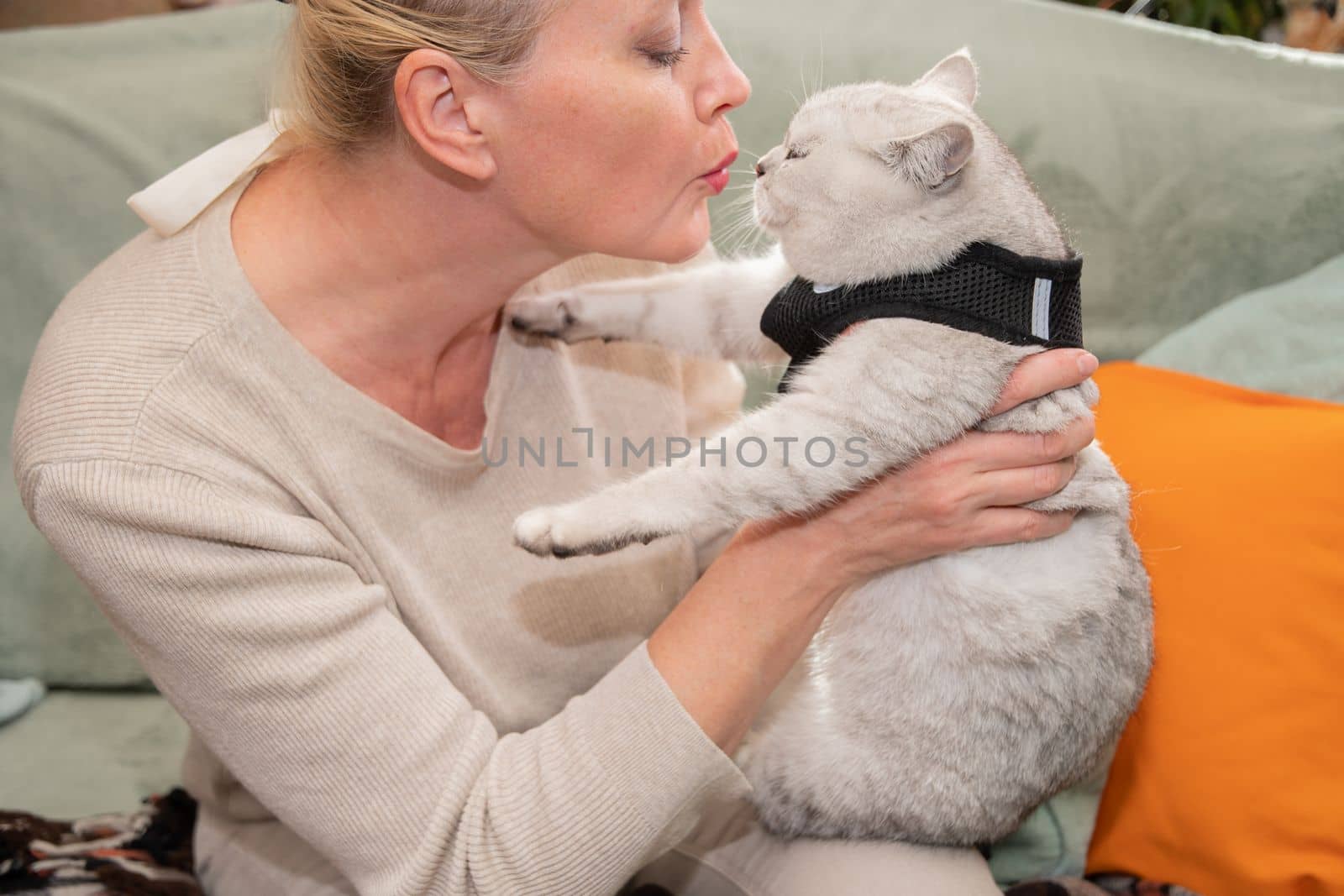 The owner kisses a kitten on a leash with a harness before the first walk in the fresh air, Sitting on the sofa, High quality photo