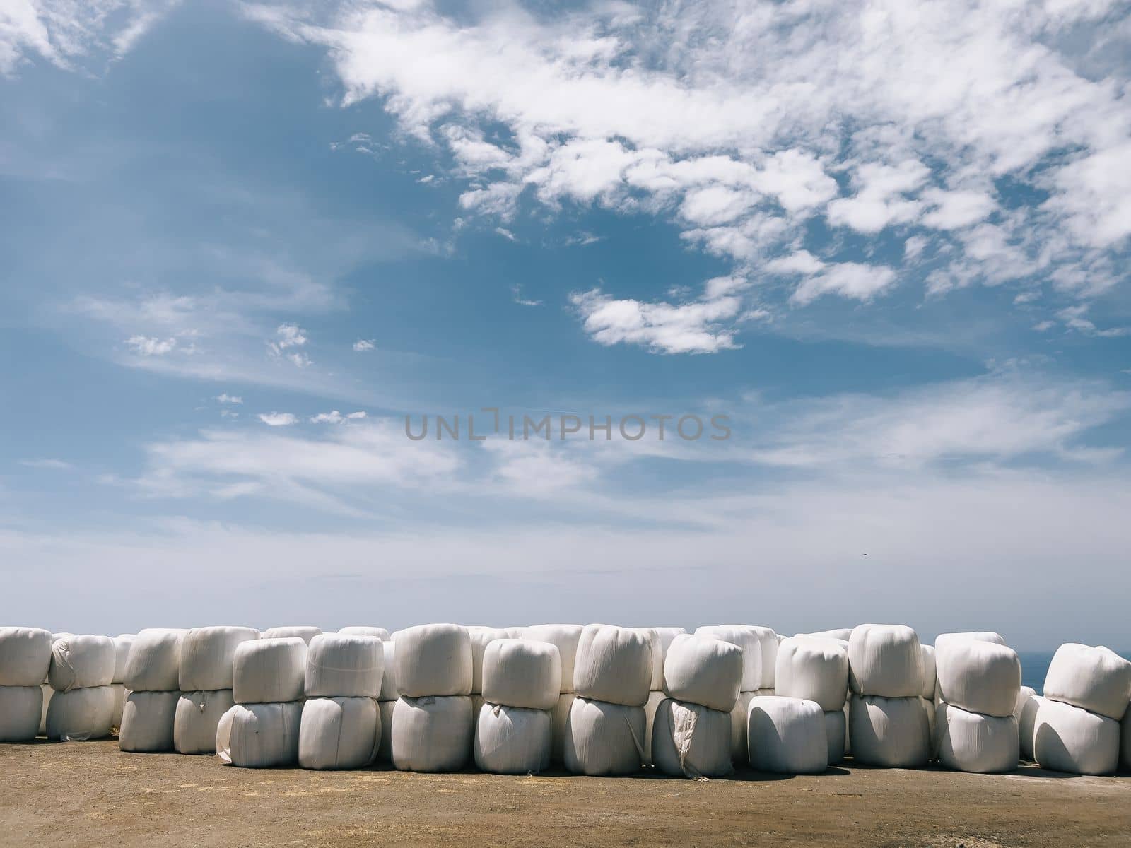 Packed hay bales lie in rows on the ground against the sky. High quality photo