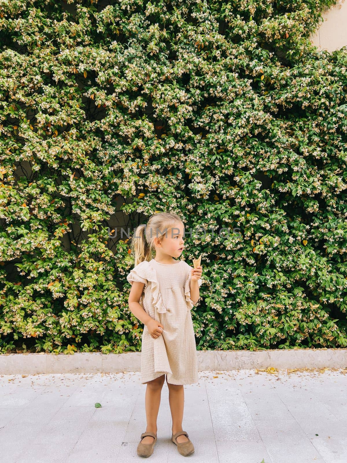 Little girl with an ice cream cone stands on a tile near a green hedge. High quality photo