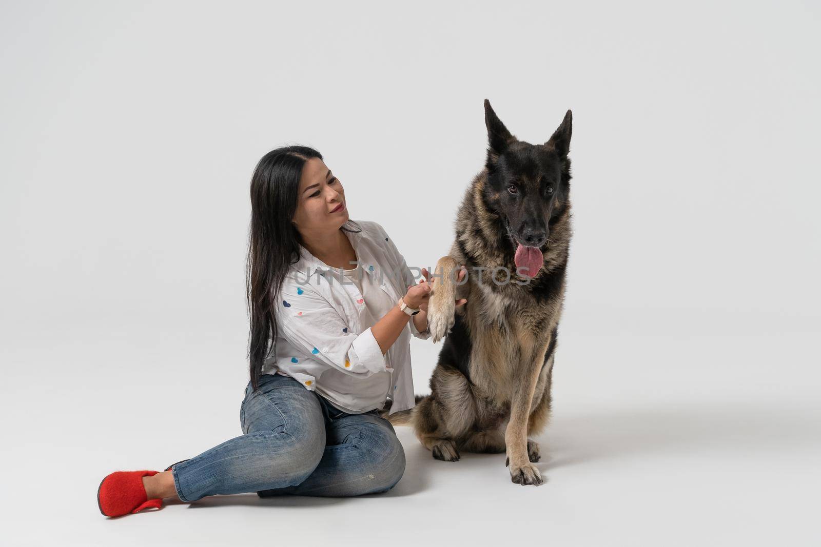 Smart dog gives paw to owner. Pretty woman and Eastern European Shepherd isolated on white background. Pet concept. Studio shot.