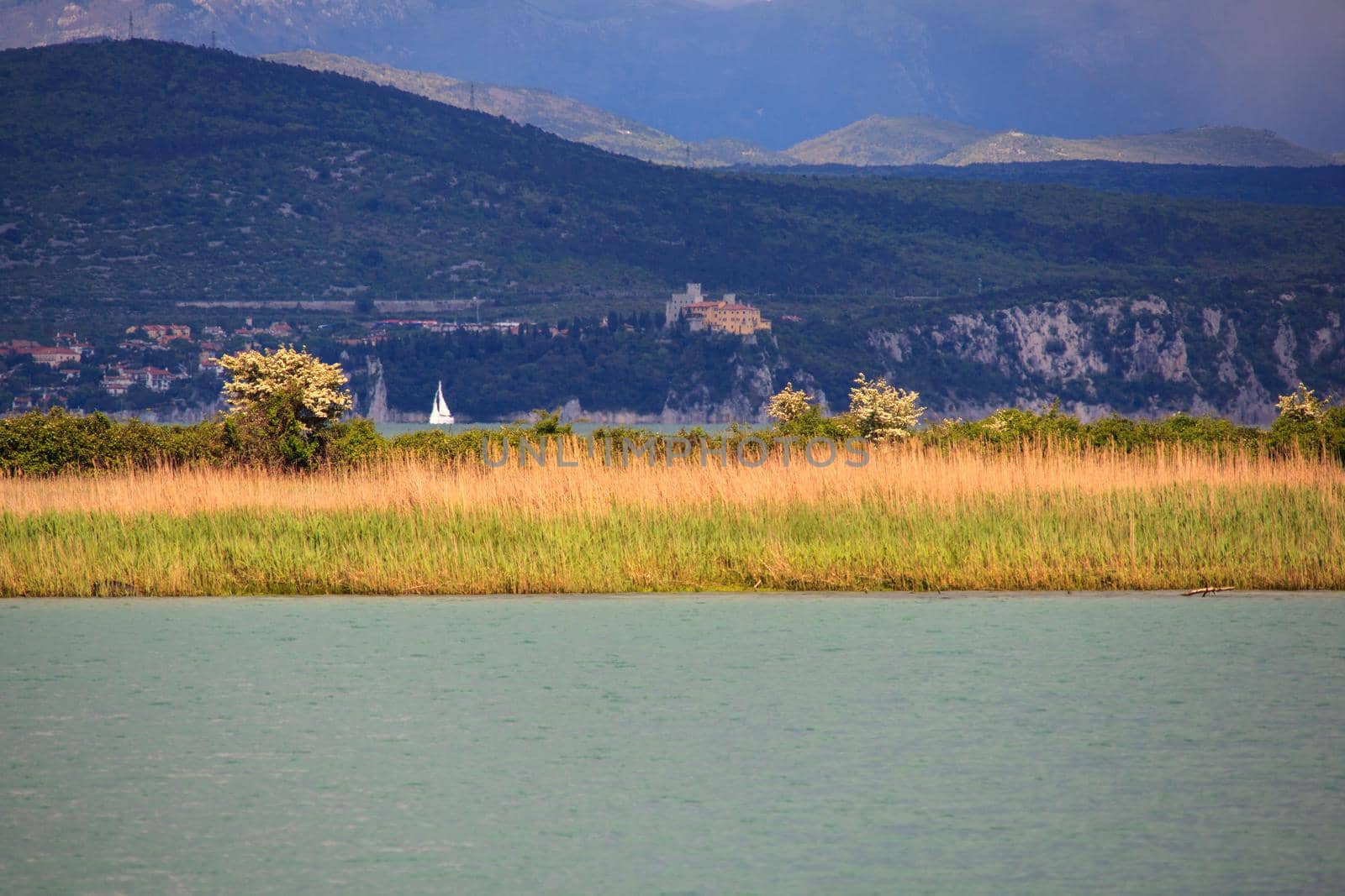 Nature reserve of the Isonzo river mouth