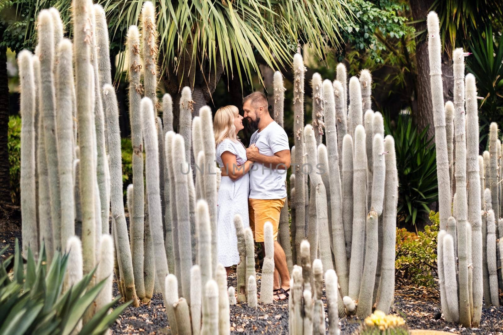 A loving couple embraces against the backdrop of huge cacti on the island of Tenerife.People in love in the Canary Islands.Large cacti in Tenerife by Lobachad