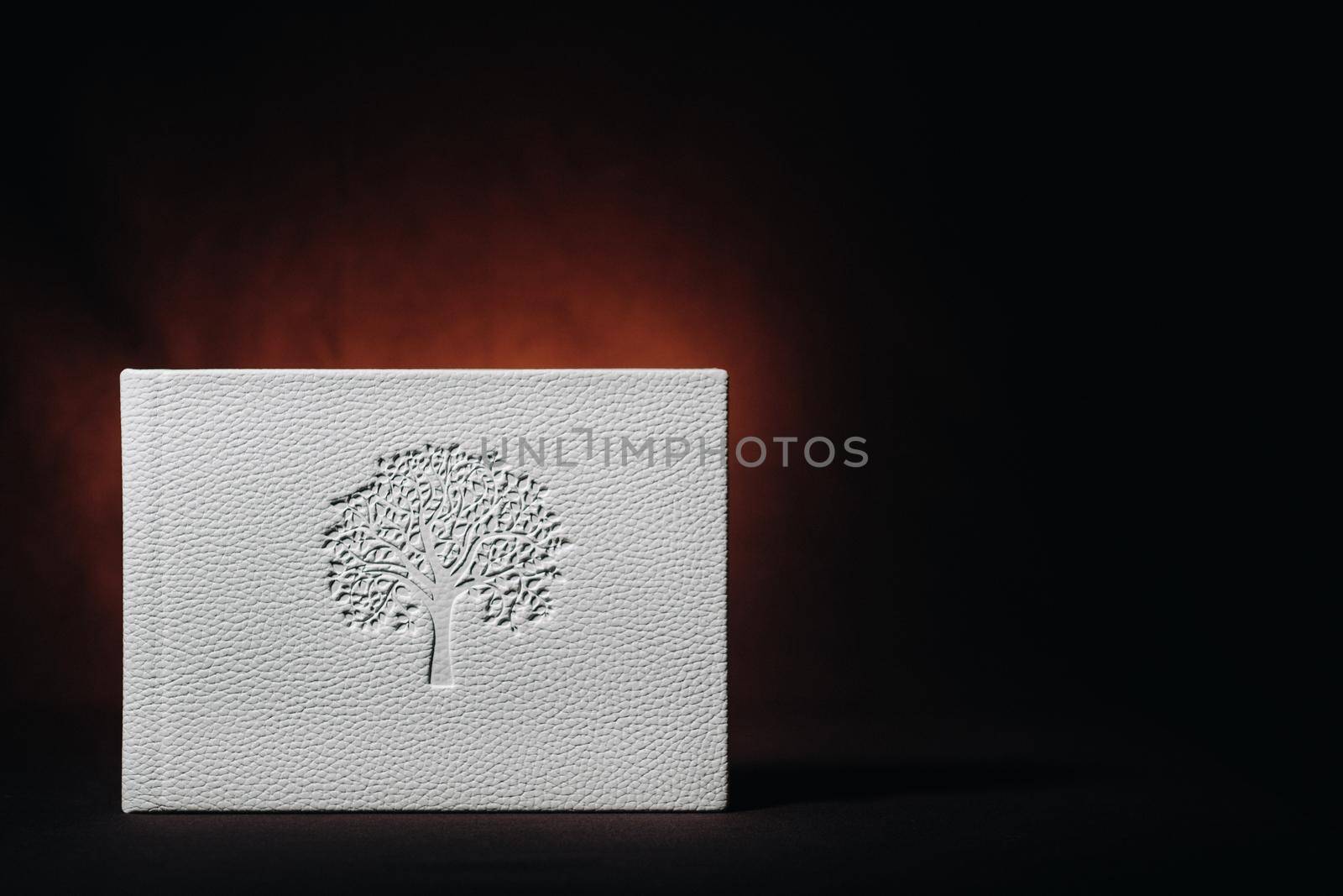 White book in genuine white leather on a dark embossed background . White paper on a dark background