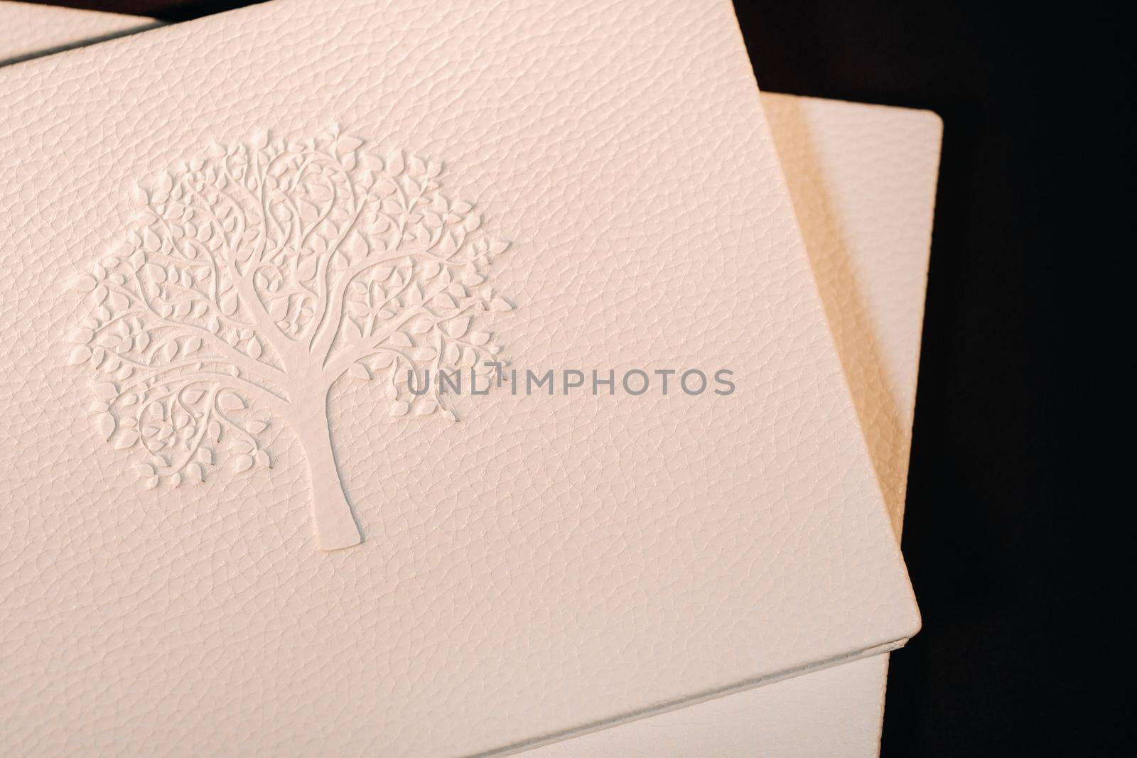 Composition of photo books in natural white leather of different sizes. The white paper on a dark background