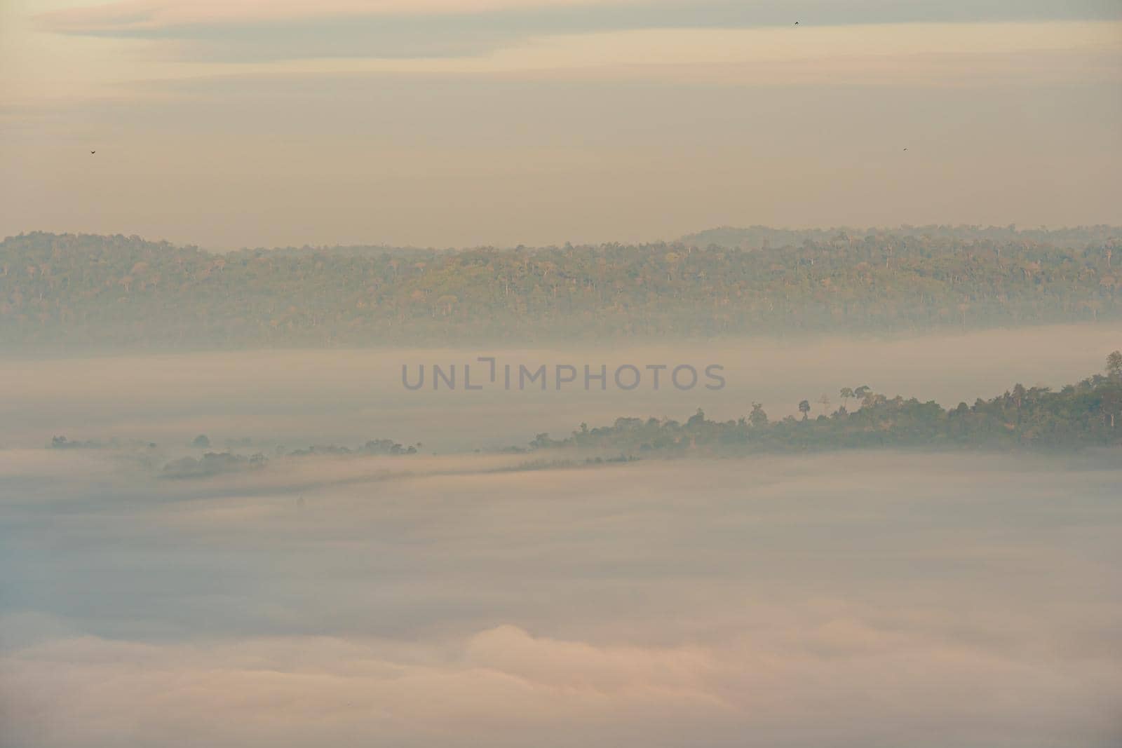 Morning mist at Khao Kho Viewpoint, Phetchabun Province