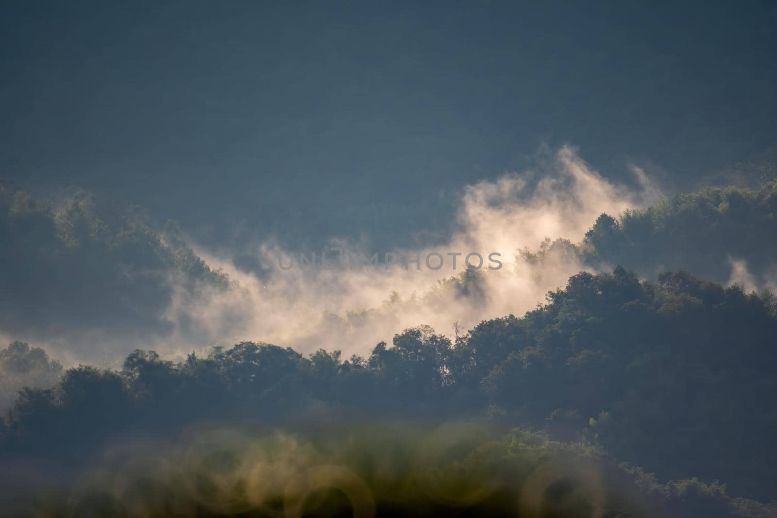 The mist that flows down the hill Giving the feeling of being like a wildfire