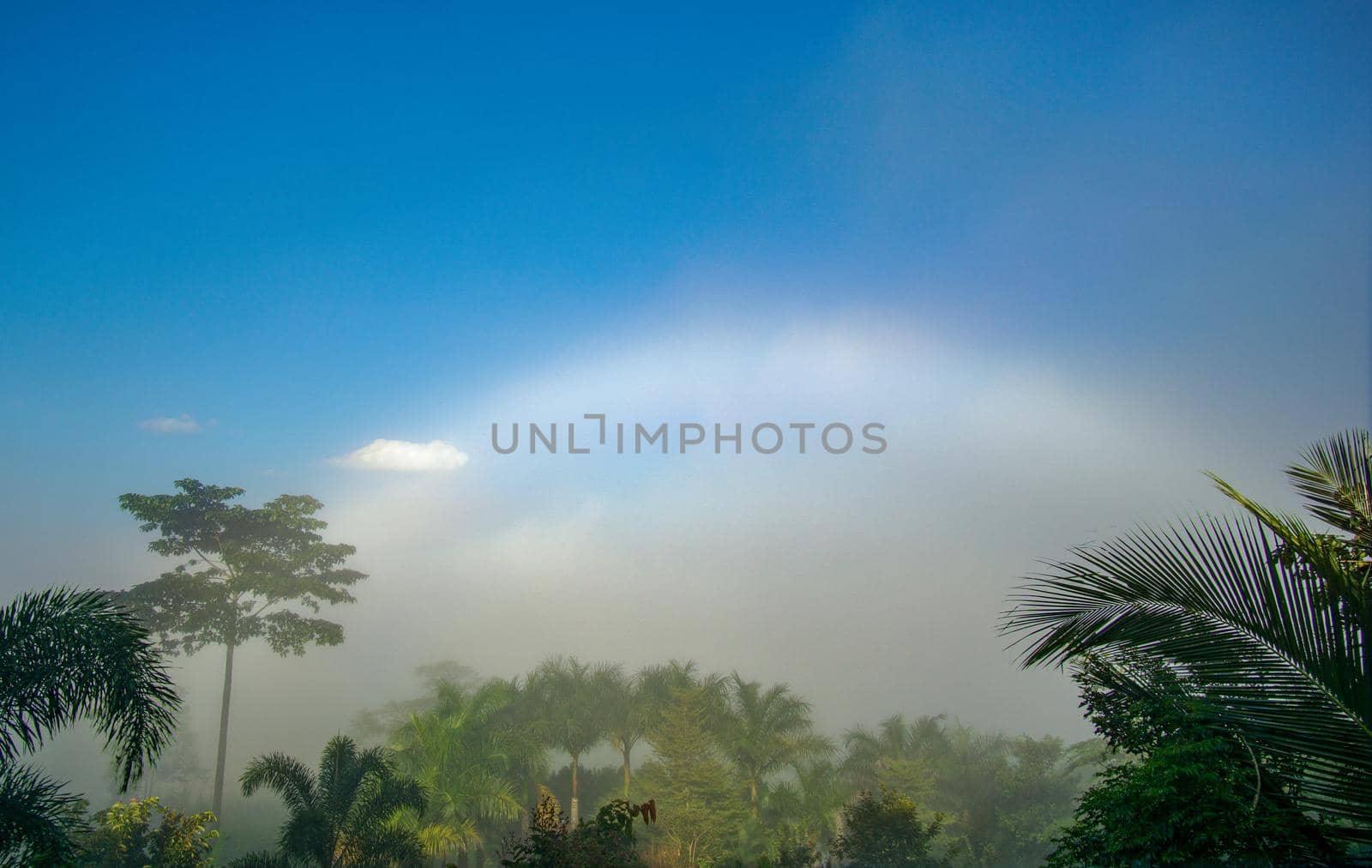 Natural phenomena. Fogbow or White rainbow occurs above the  mist.