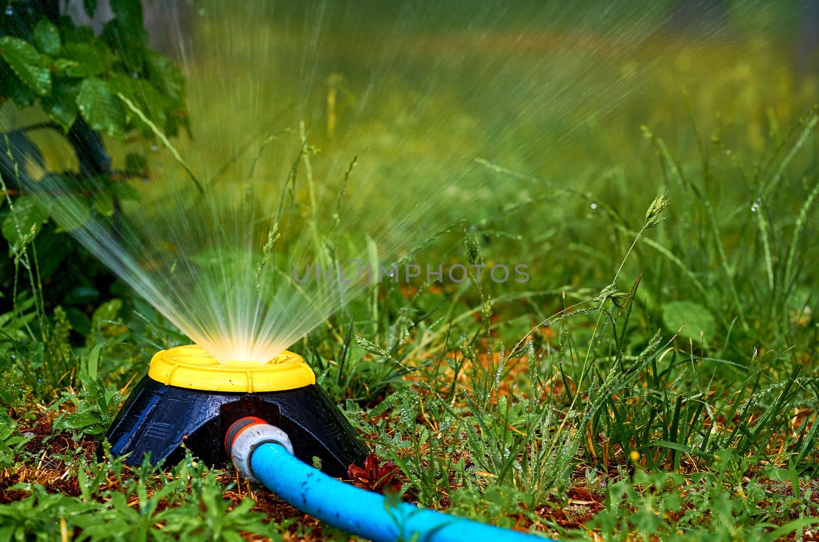 the supply of water to land or crops to help growth, typically by means of channels. Irrigation system, sprinkler watering flowers on a hot day in a city park.