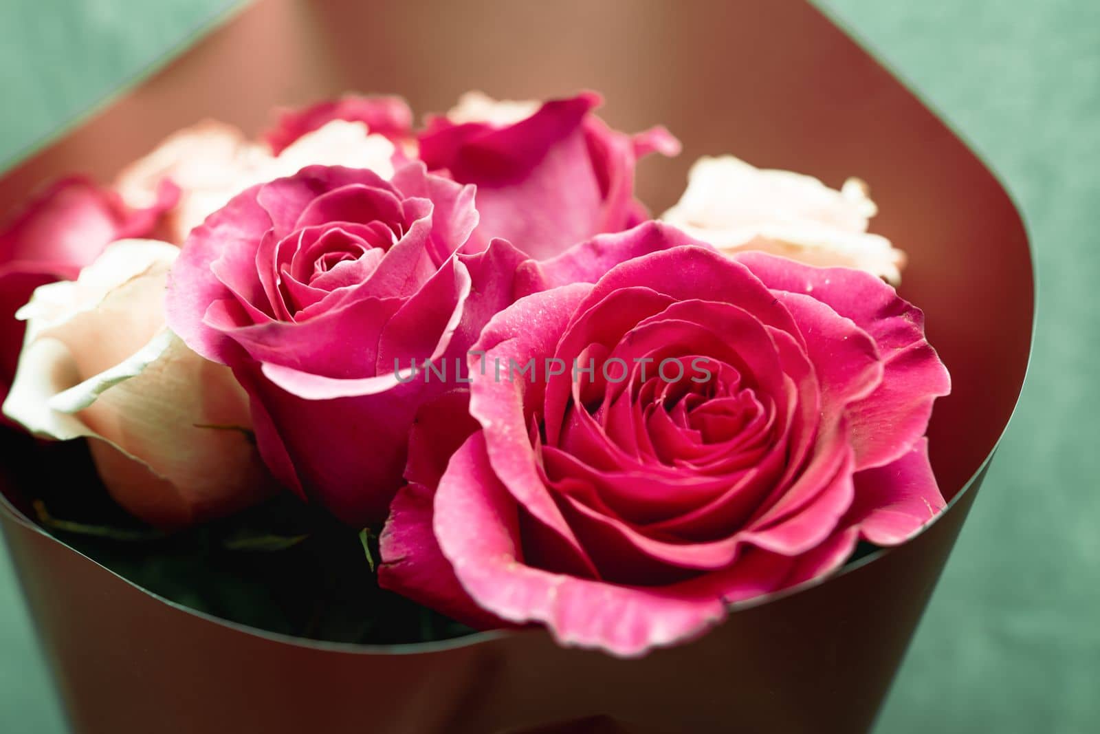 big bouquet of pink and red roses. High quality photo