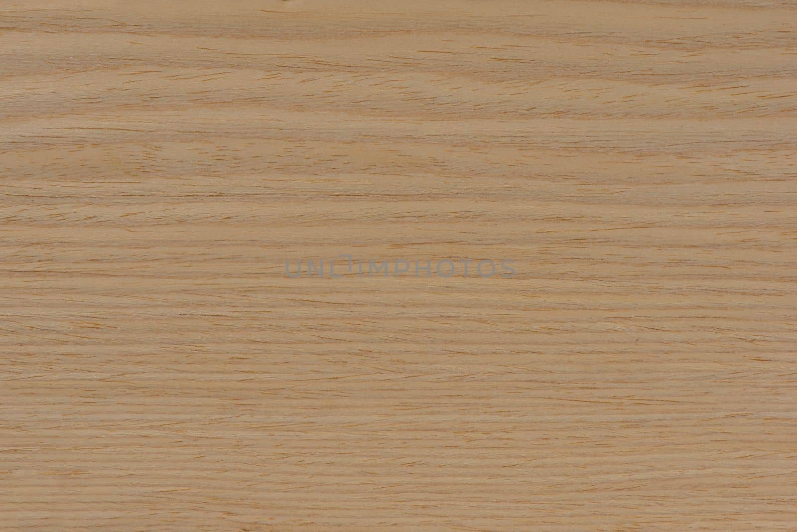 Wood texture. Natural maple texture. Maple board for furniture production. Untreated young maple board with fine texture in light color.