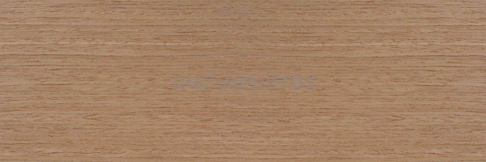 Natural oak texture. Wood texture. Oak board for furniture production. Untreated plank of young oak with fine texture in light color.