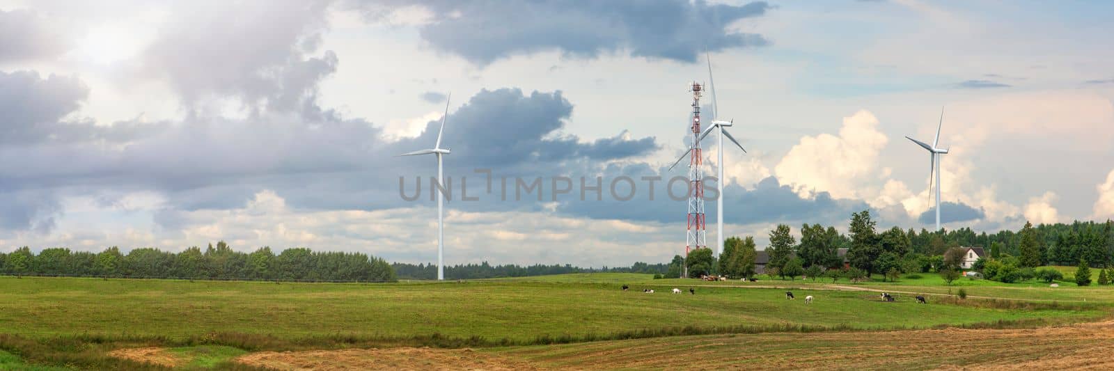 Green wind energy. Windmills for the production of renewable electricity. Windmills in the field, produce electricity on a sunny summer day.