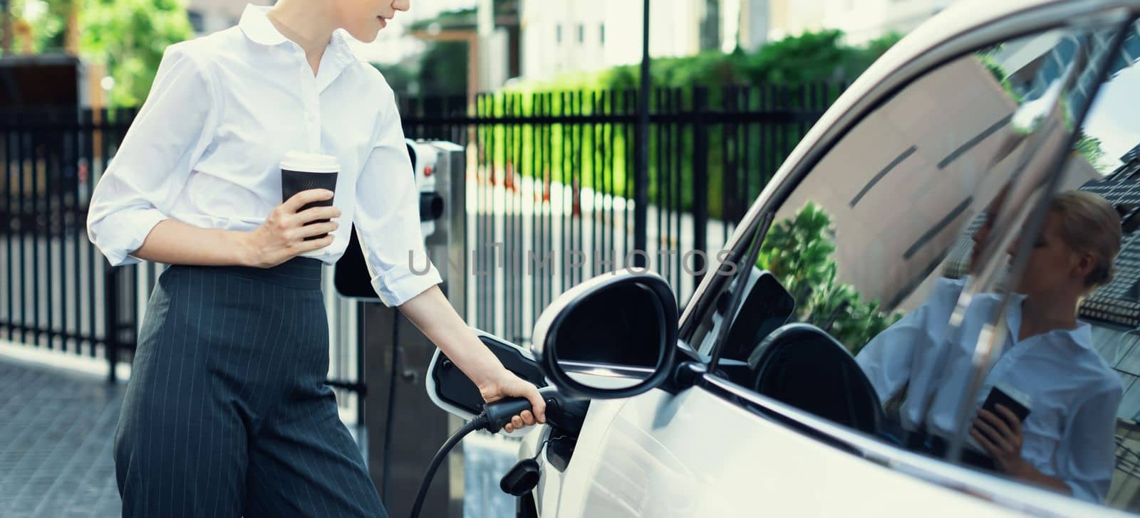 Closeup businesswoman holding coffee, insert EV charger to electric vehicle at public charging station. Eco-friendly car using clean and renewable energy for progressive lifestyle in city.