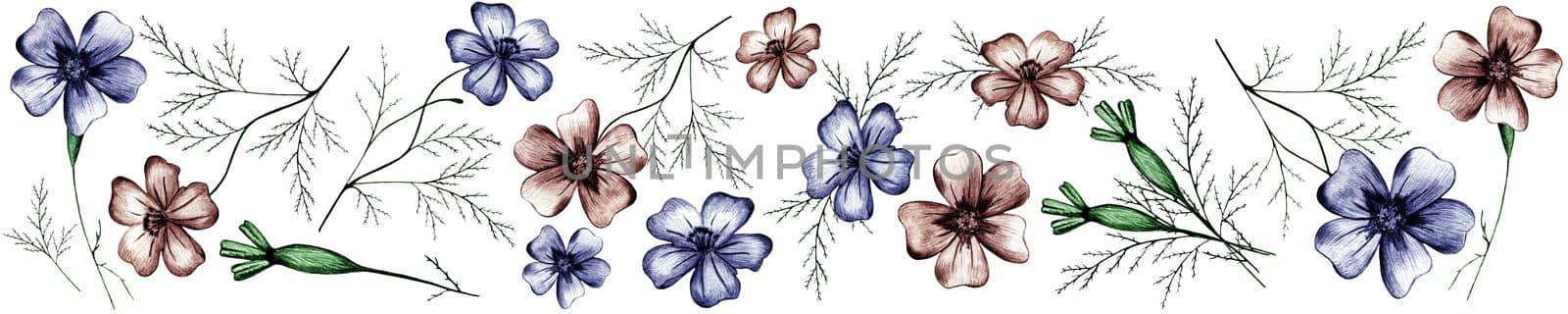 Set of Colorful Hand Drawn Marigold Flower Isolated on White Background. Marigold Flower Collection Drawn by Color Pencils.