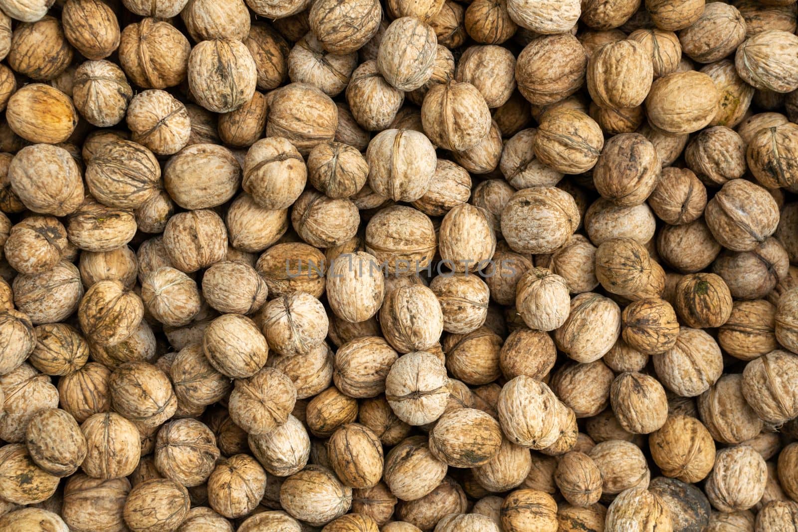 Background of fresh walnuts, vegetable protein for vegetarianism and raw food. The concept is healthy eating.