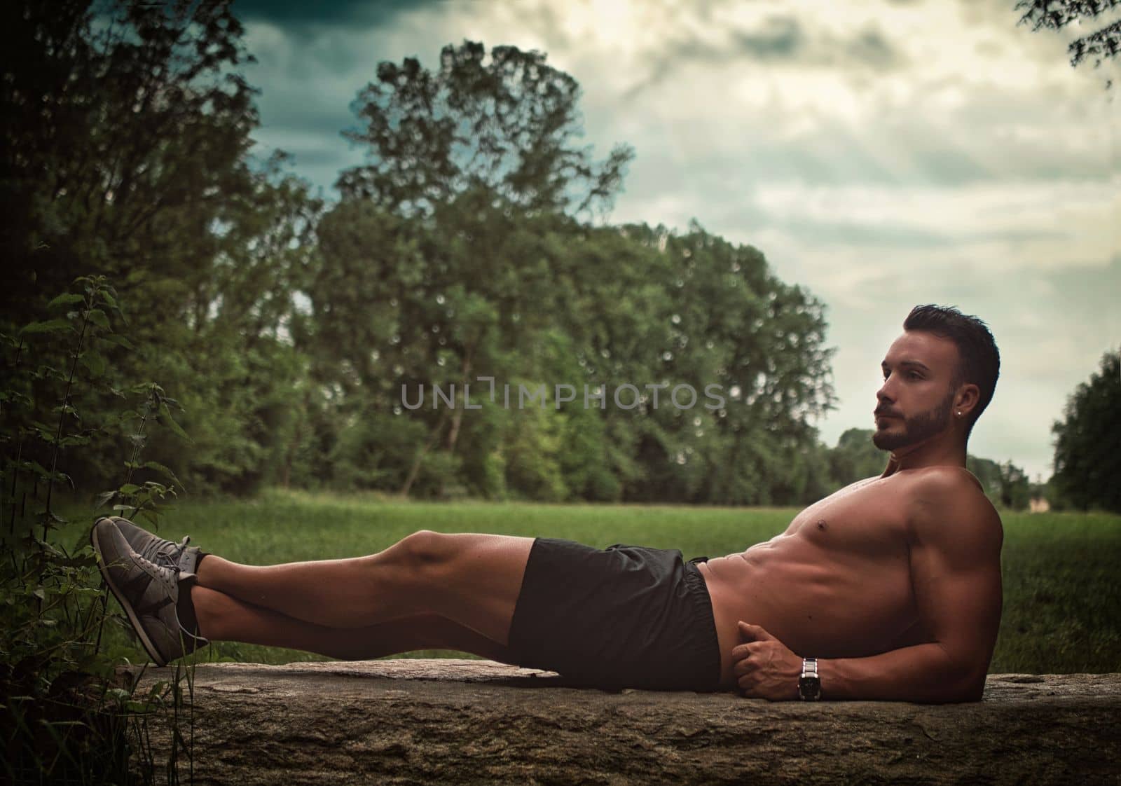 Full body side view of handsome young bearded shirtless male with muscular body, wearing shorts and sneakers, doing abs exercise on wooden block against green meadow in summer day