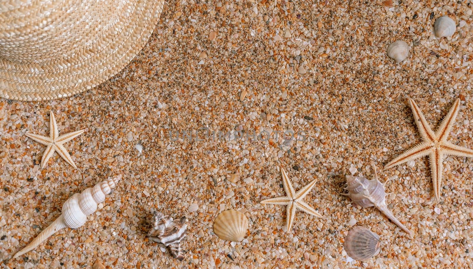 Sand shells background. Summer time concept with sea shells and starfish on the sand by Matiunina