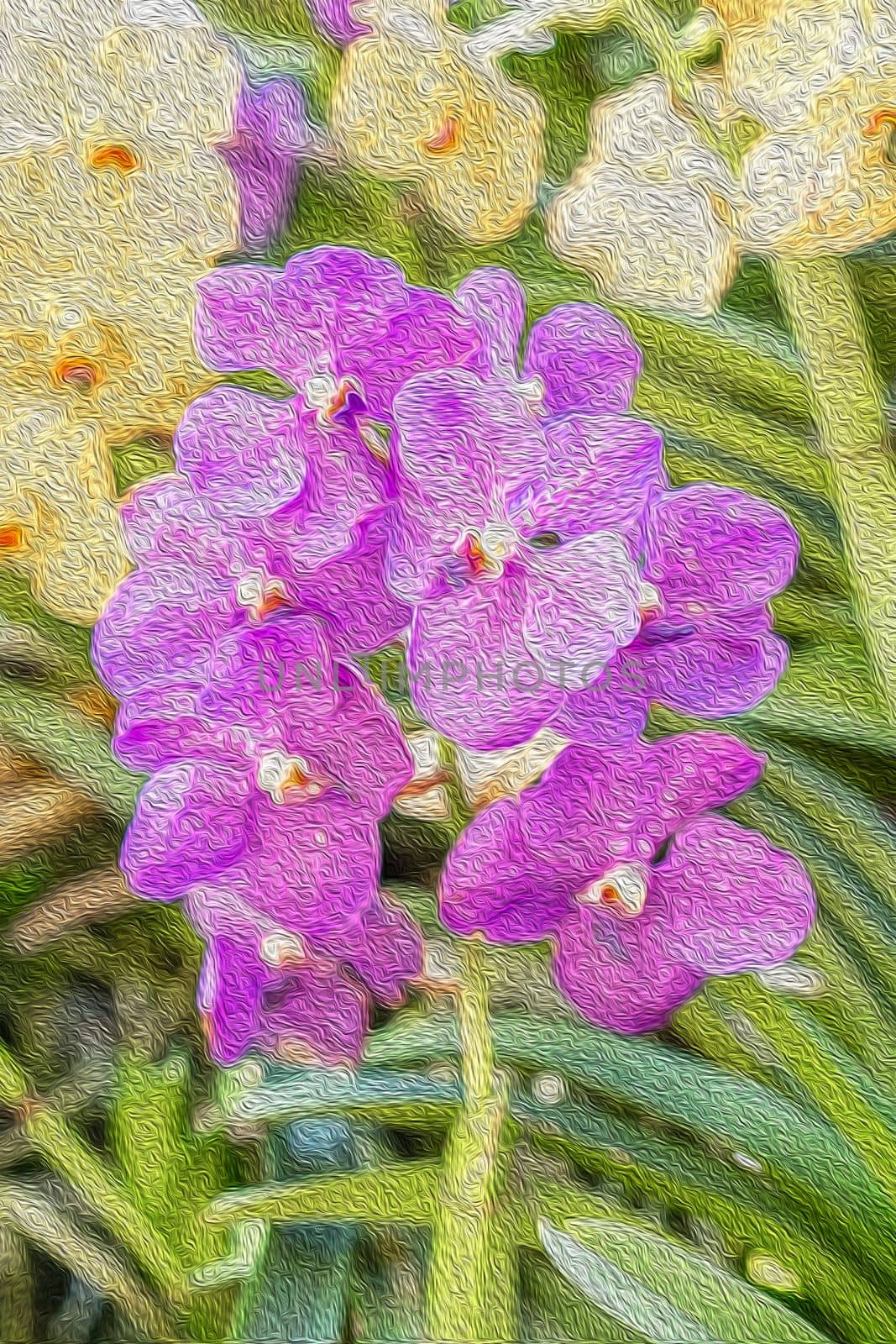 The abstract oil paint purple orchid. by Gamjai