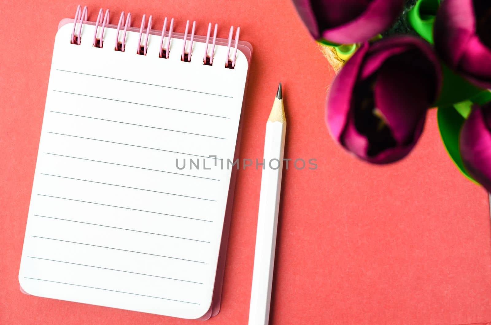 An open spiral bound notebook with lined paper and pencil with red tulip flower on red background. by Gamjai