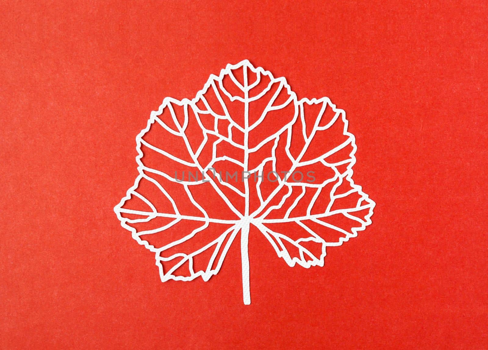 A carve of white paper leaves with empty space on a red colour cardboard background.
