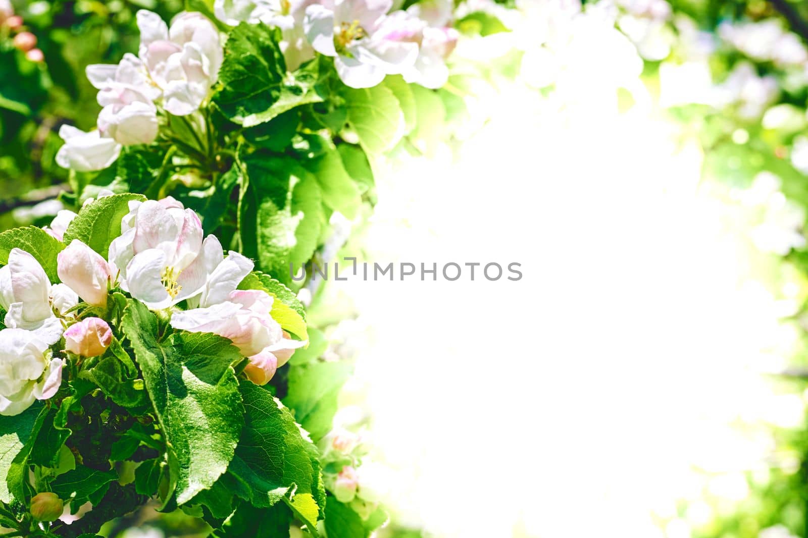 the season after winter and before summer, in which vegetation begins to appear