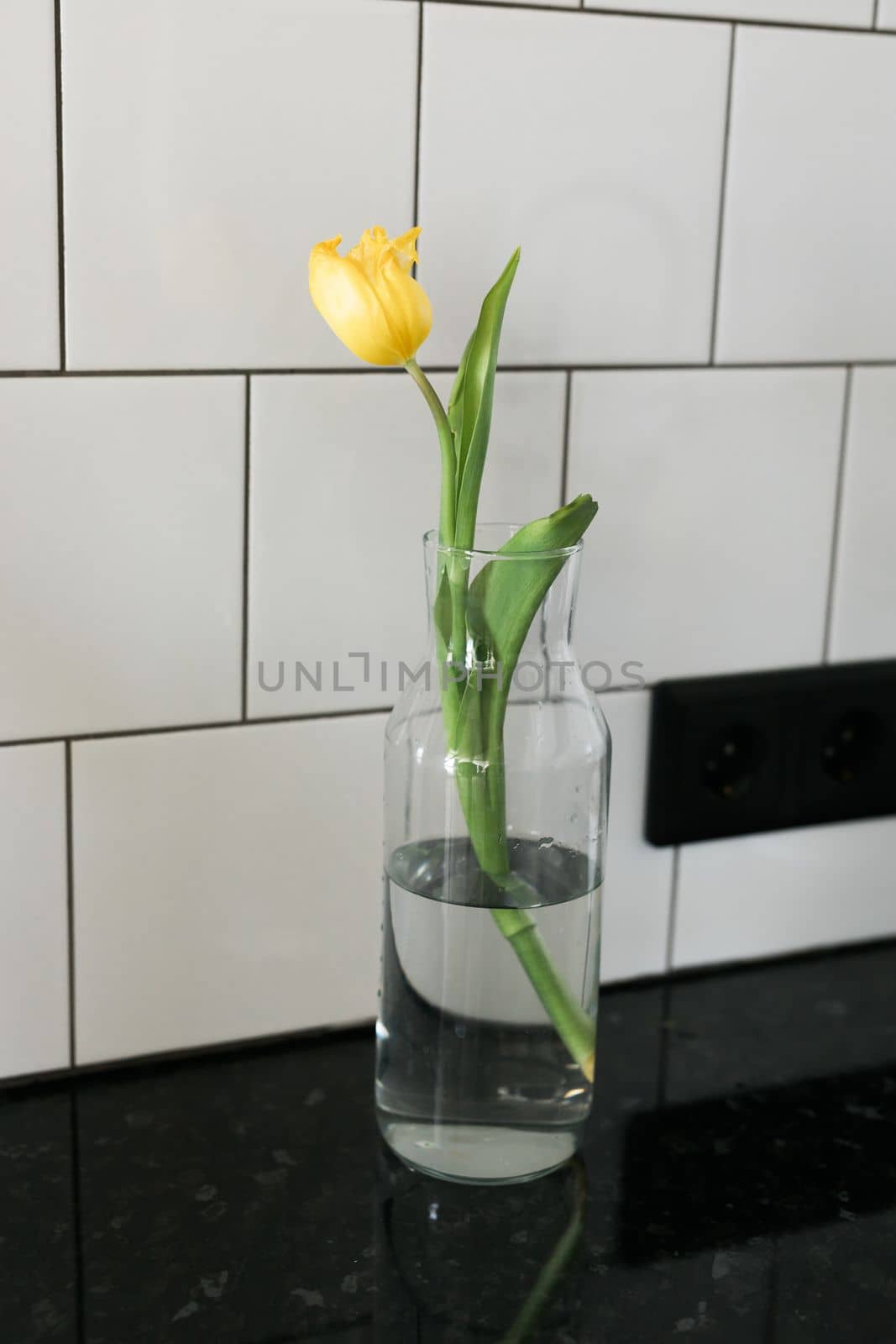 One yellow tulip flower in glass vase indoors - springtime and gift or present by Satura86