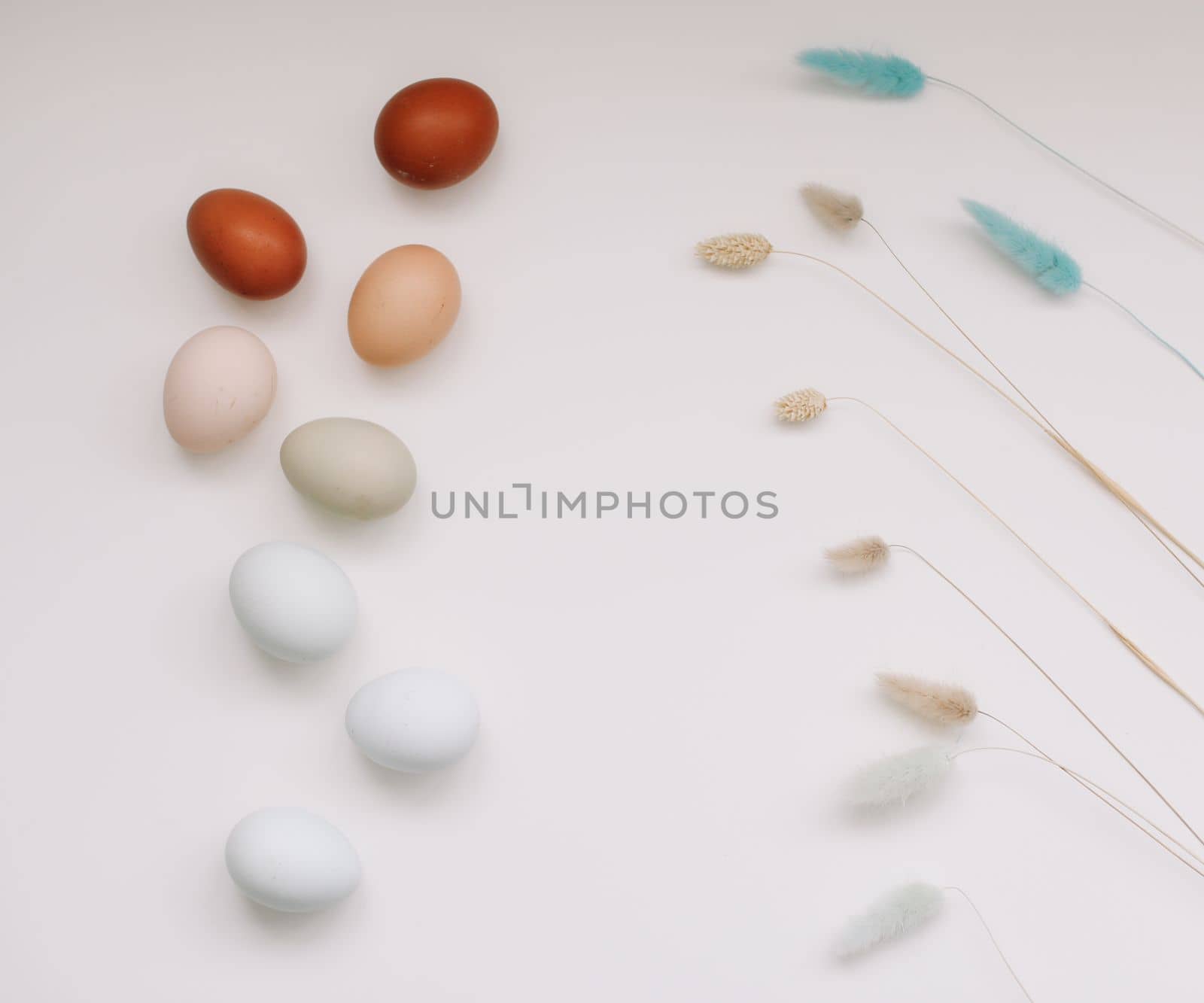 Chicken eggs of natural shades and colors a white background. Healthy organic food, natural farmer's products concept. Happy Easter background. Selective focus.