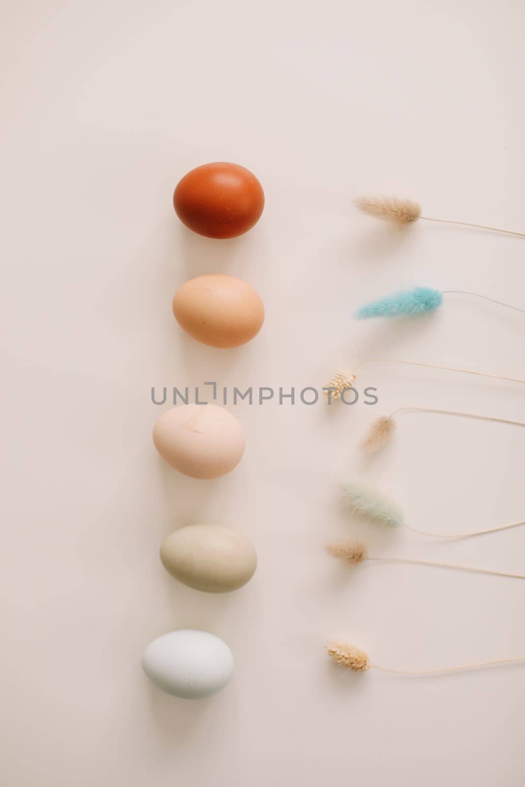 Chicken eggs of natural shades and colors a white background. Healthy organic food, natural farmer's products concept. Happy Easter background. Selective focus.