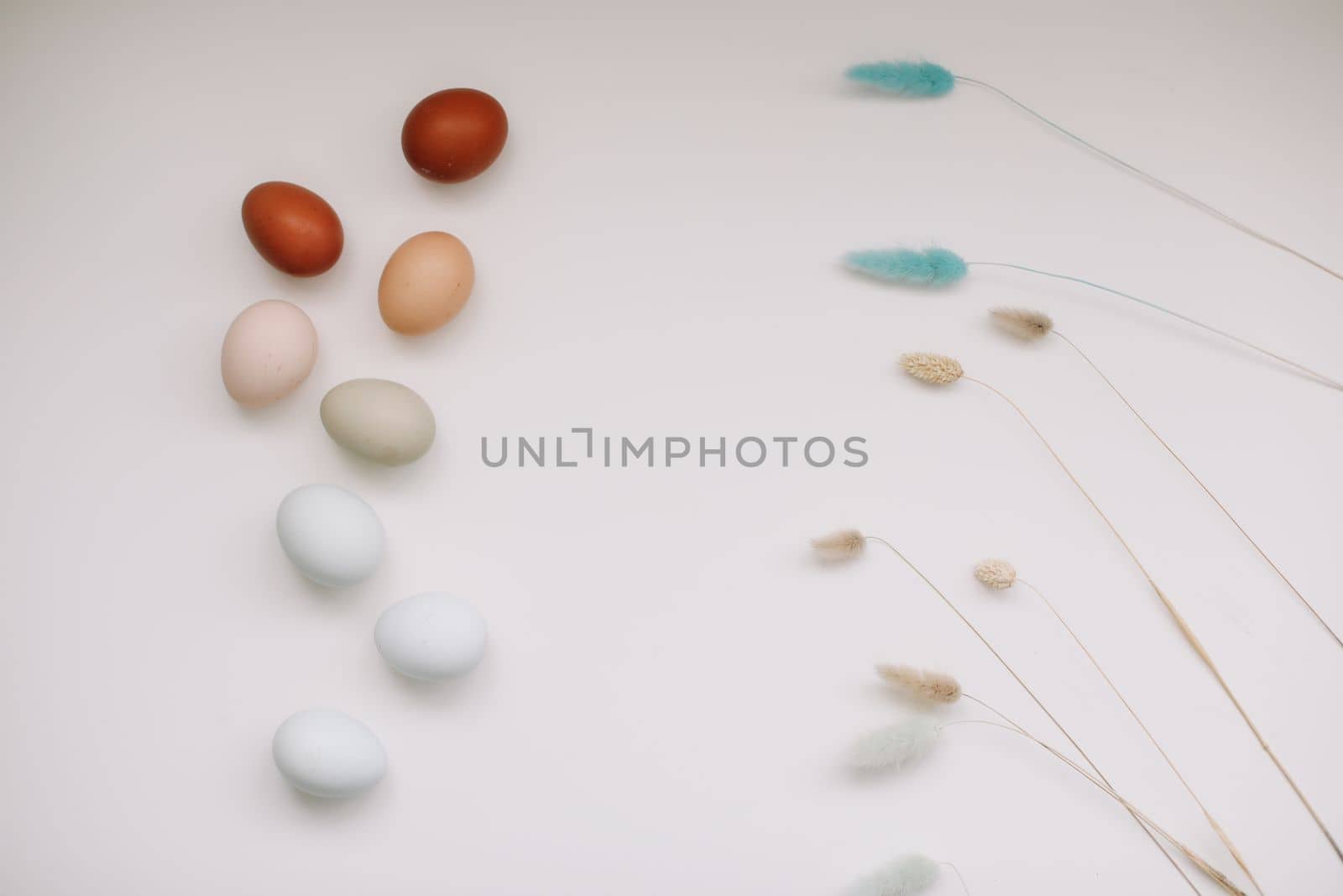 Chicken eggs of natural shades and colors a white background. Healthy organic food, natural farmer's products concept. Happy Easter background. Selective focus.