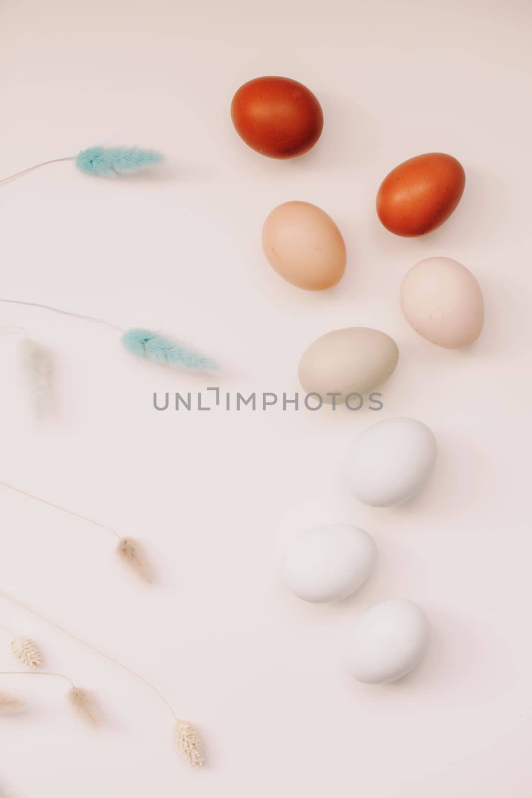 Chicken eggs of natural shades and colors a white background. Healthy organic food, natural farmer's products concept. Happy Easter background. Selective focus.