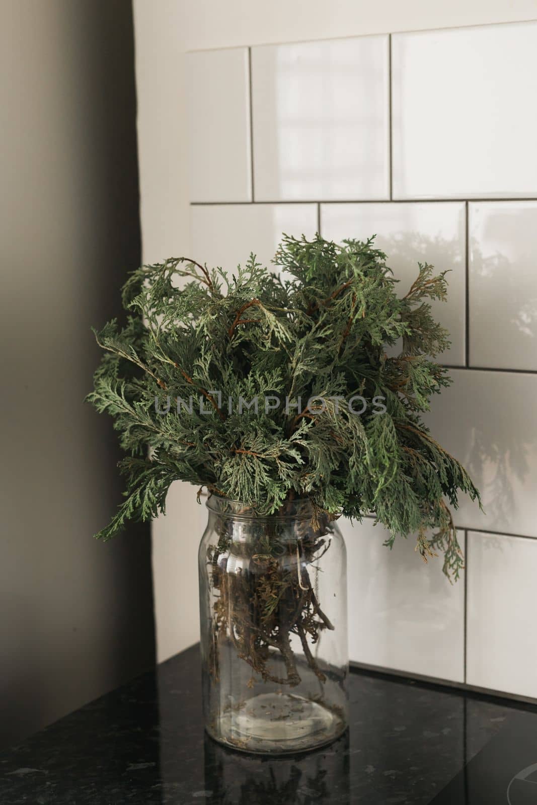 Green branch of juniper in a dark vase on a dark background. Still life.