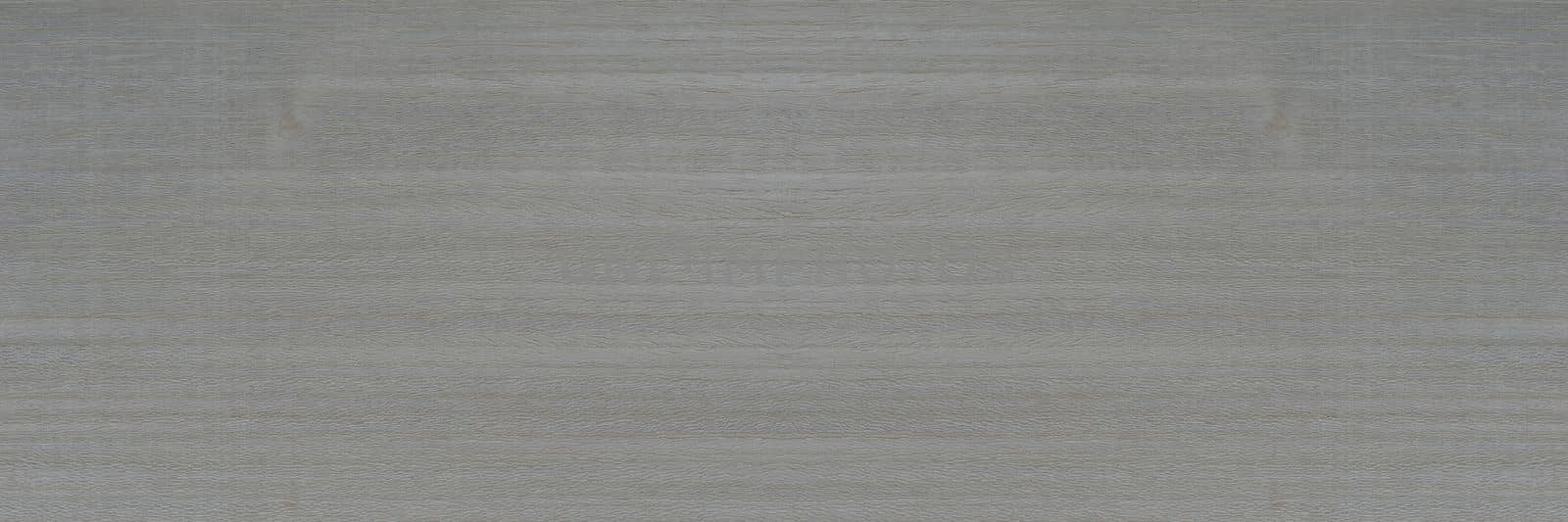 Texture of silver wood. Texture of koto wood with a silvery white tint. Exotic rare wood from Africa for the production of expensive furniture or interior elements by SERSOL