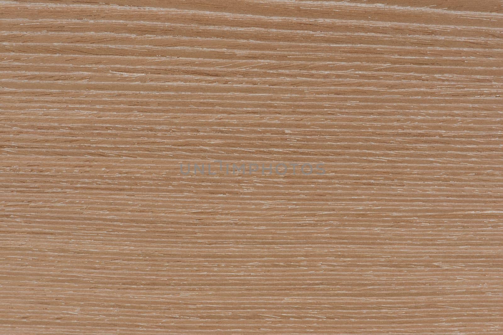 Dark oak texture. Texture of natural solid wood. Oak board with a dark brown tint, wood for the production of furniture, floors or doors by SERSOL