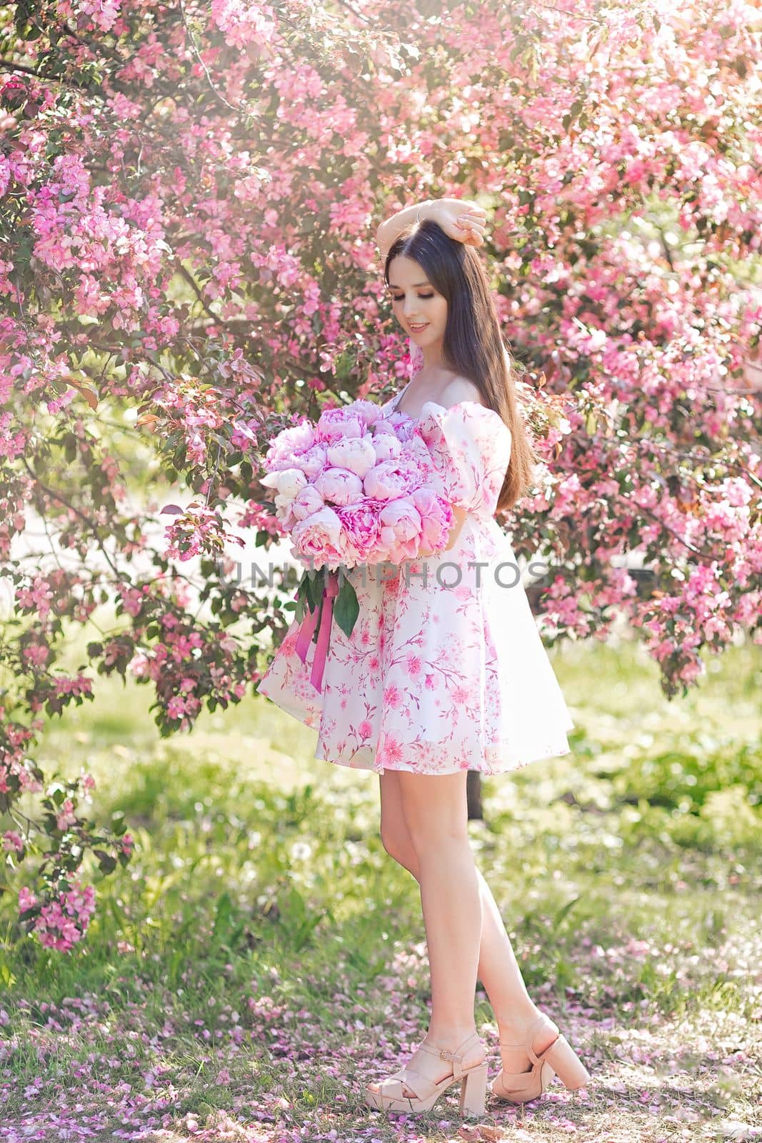 A pretty brunette in a light pink dress, with a large bouquet of pink peonies, stands near pink blooming apple trees, in summer in the garden on a sunny day, a space for copying