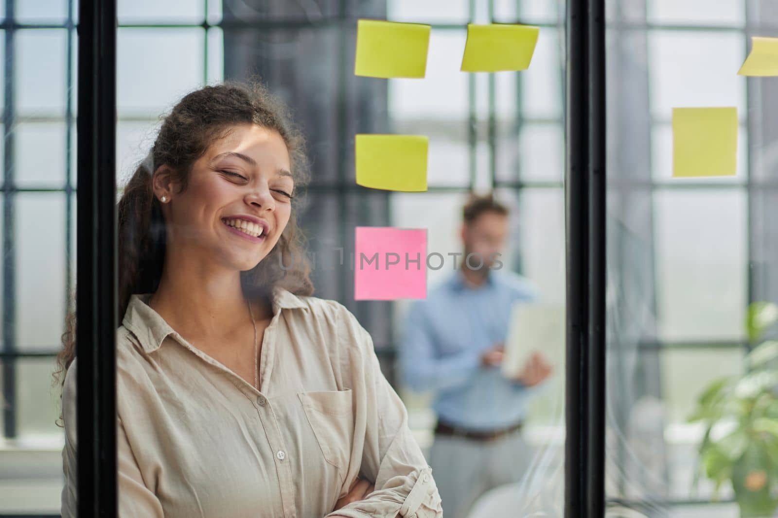 Bringing her vision to life. Shot of a confident businesswoman presenting an idea to her colleague using adhesive notes on a glass wall in the office.