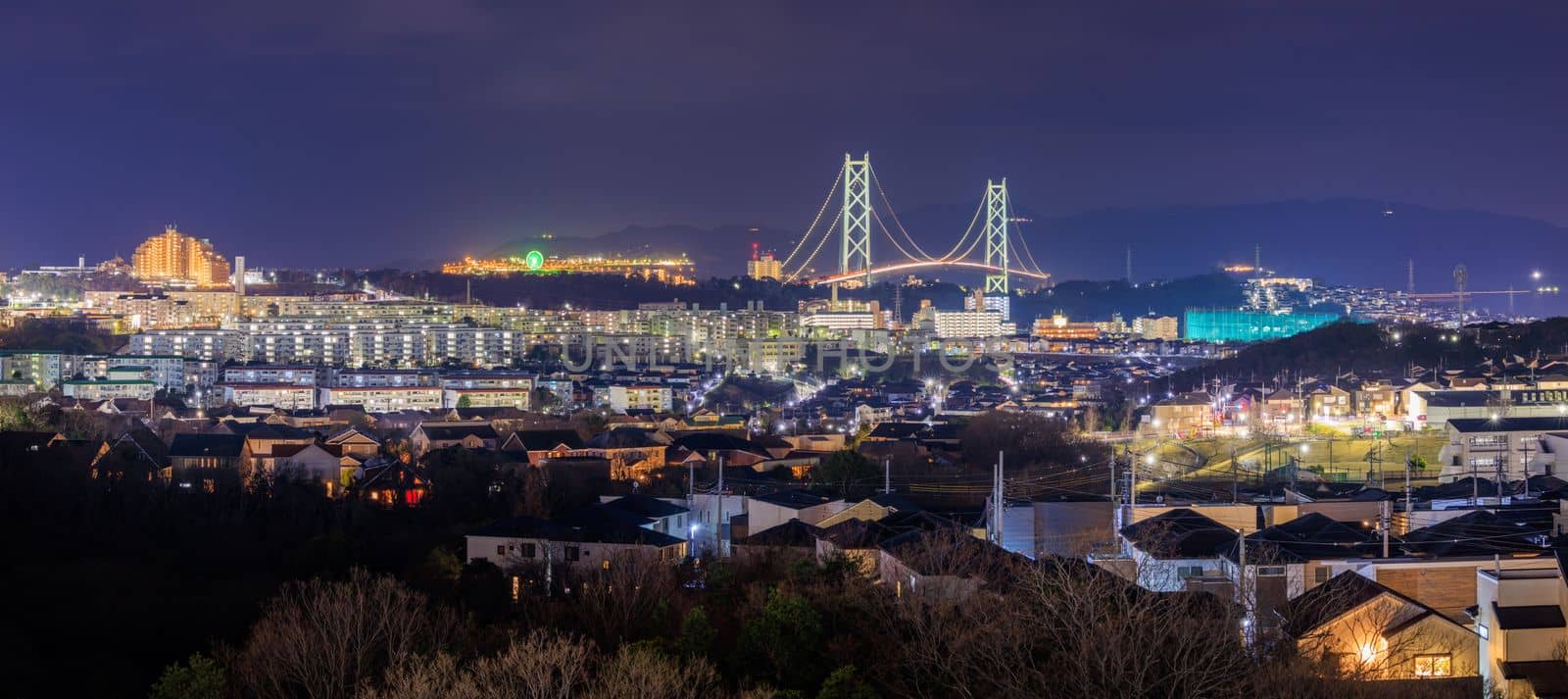 Panoramic View of in Residential Suburb and Suspension Bridge at Night. High quality photo