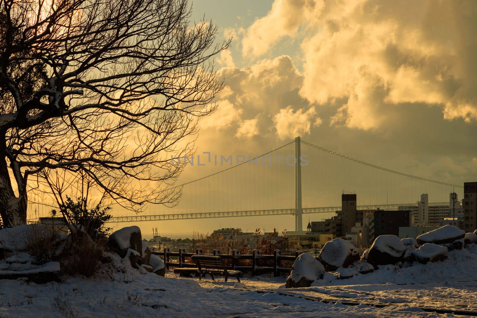 Snow covered park bench at sunrise with city and bridge in background by Osaze