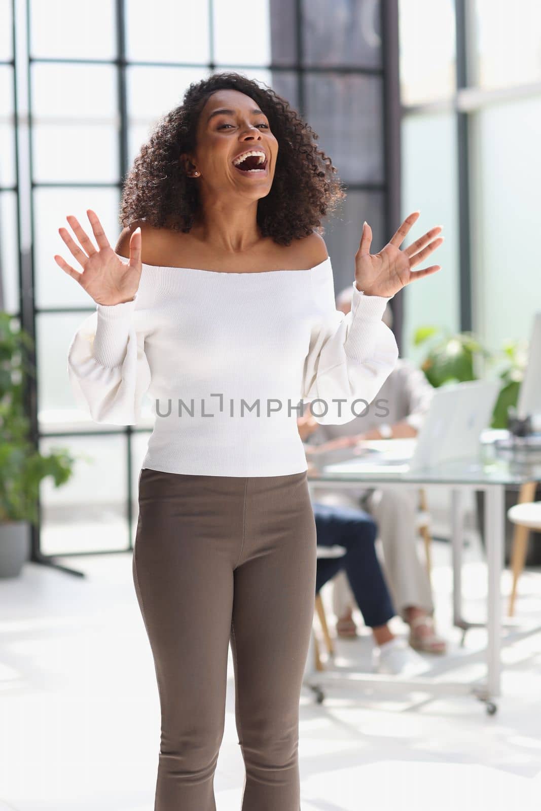 Portrait of a young attractive African American woman in the office