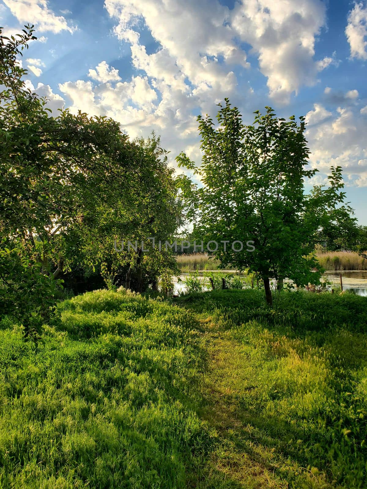 River side landscape with green grass springtime nature by Try_my_best