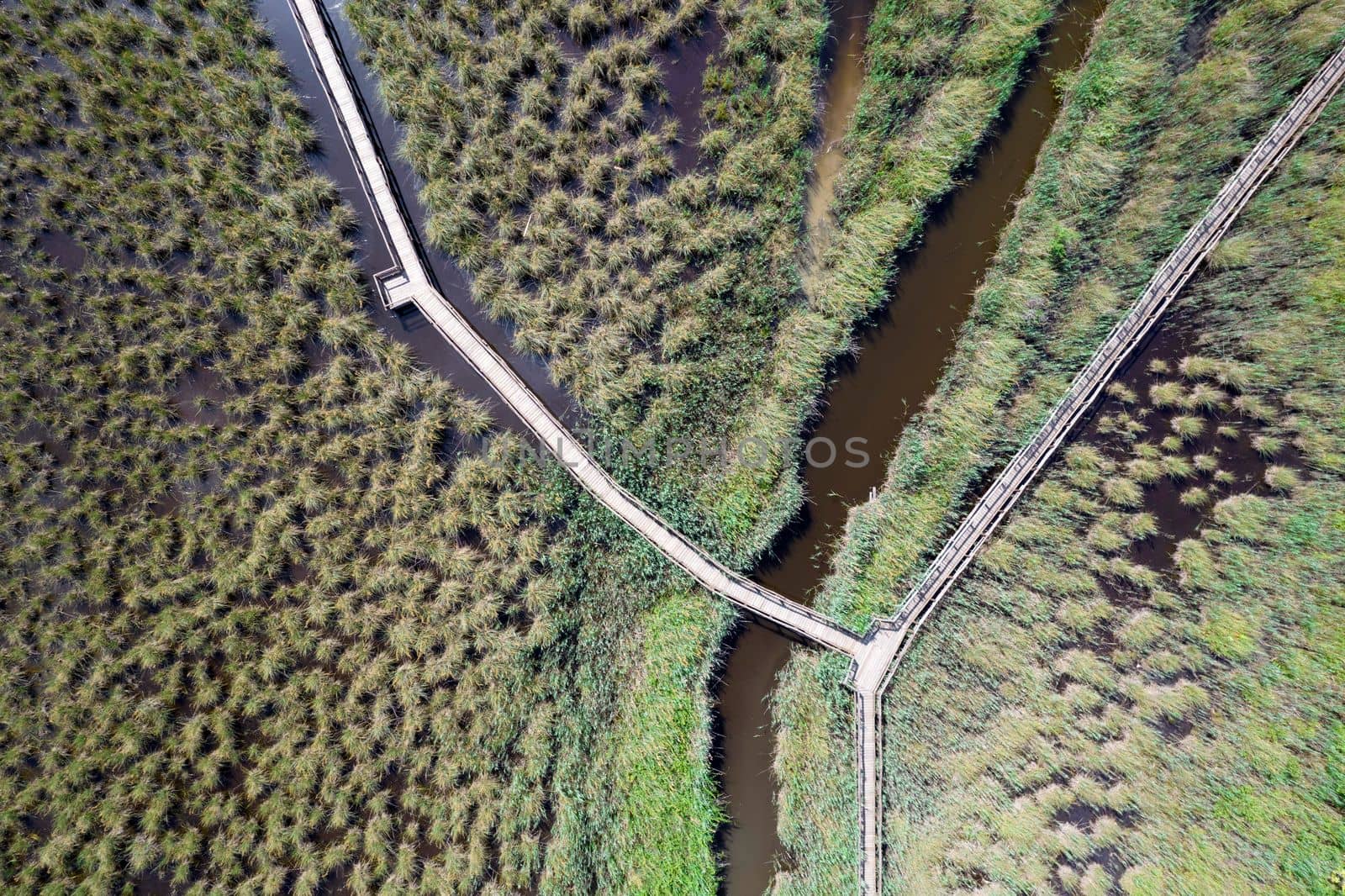 Aerial view of the pedestrian walkway inside the park of Massaciuccoli Italy 