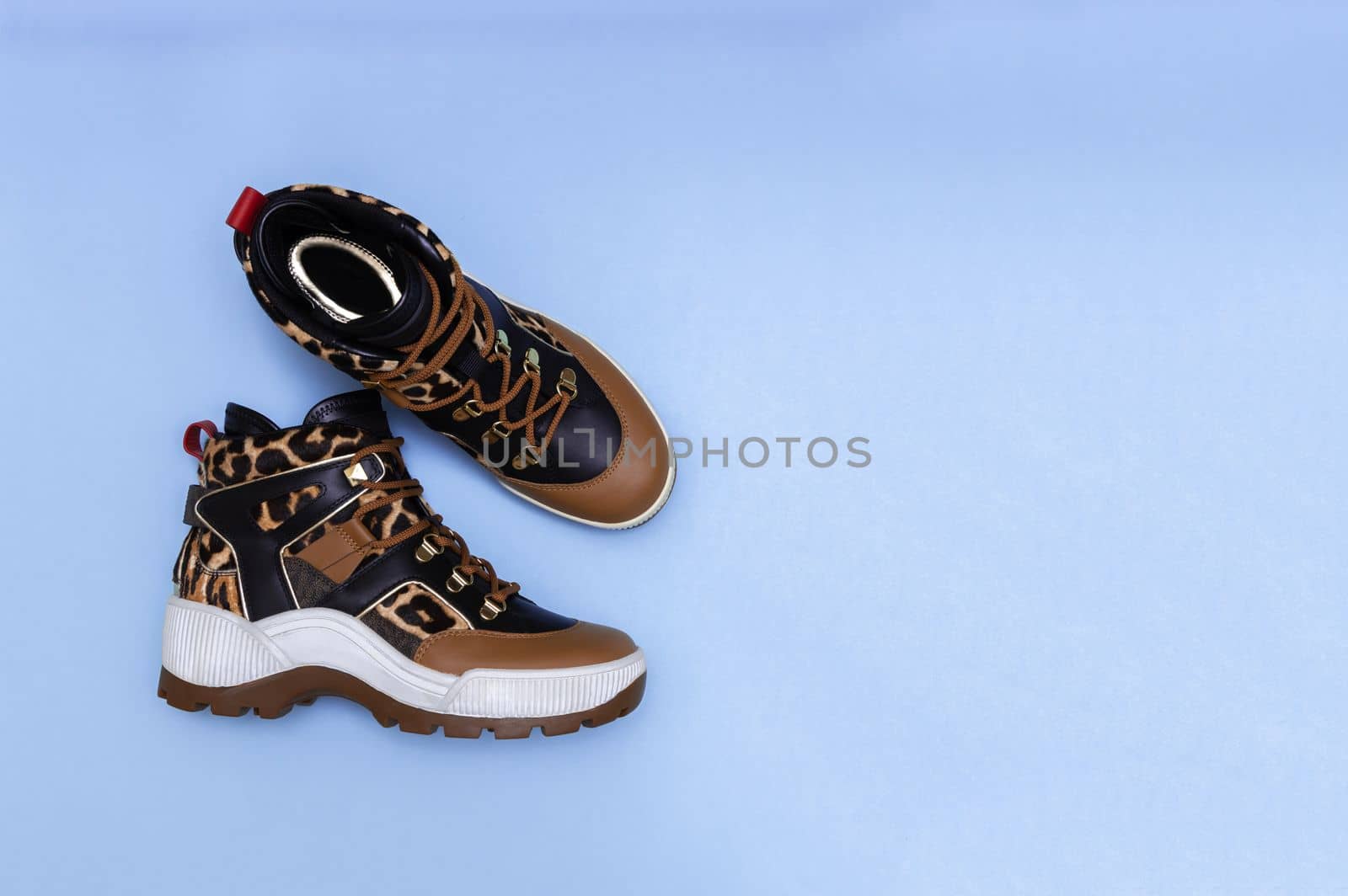 Women shoes brown leopard print on blue background. Modern spring female boots. shopping concept.