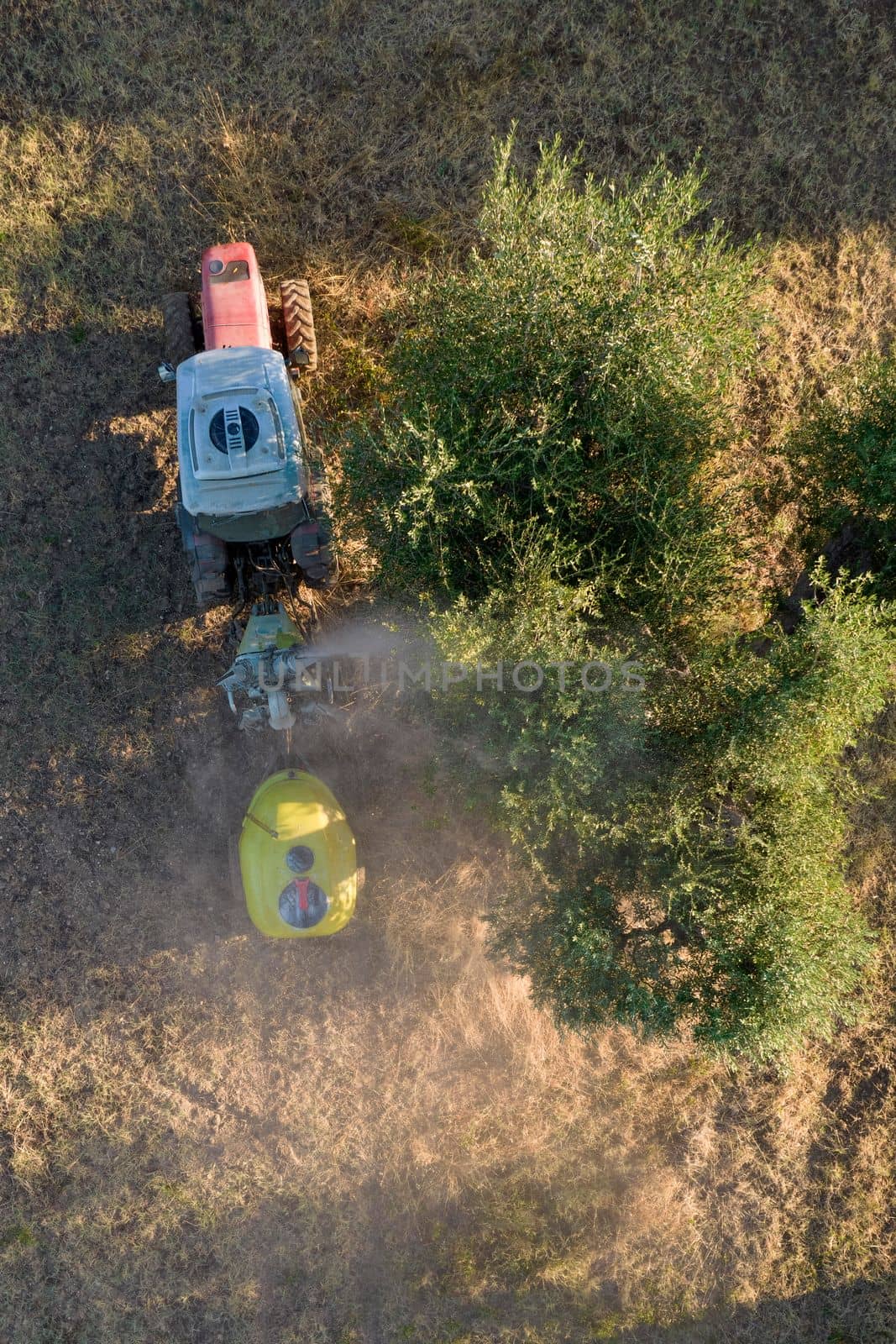 Aerial photographic documentation of the time of the pesticide treatment in an olive plantation