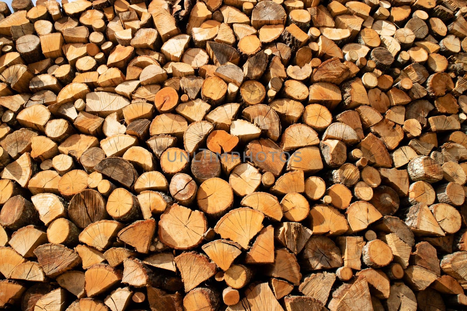 Photographic documentation of a large pile of firewood in reserve for the winter 