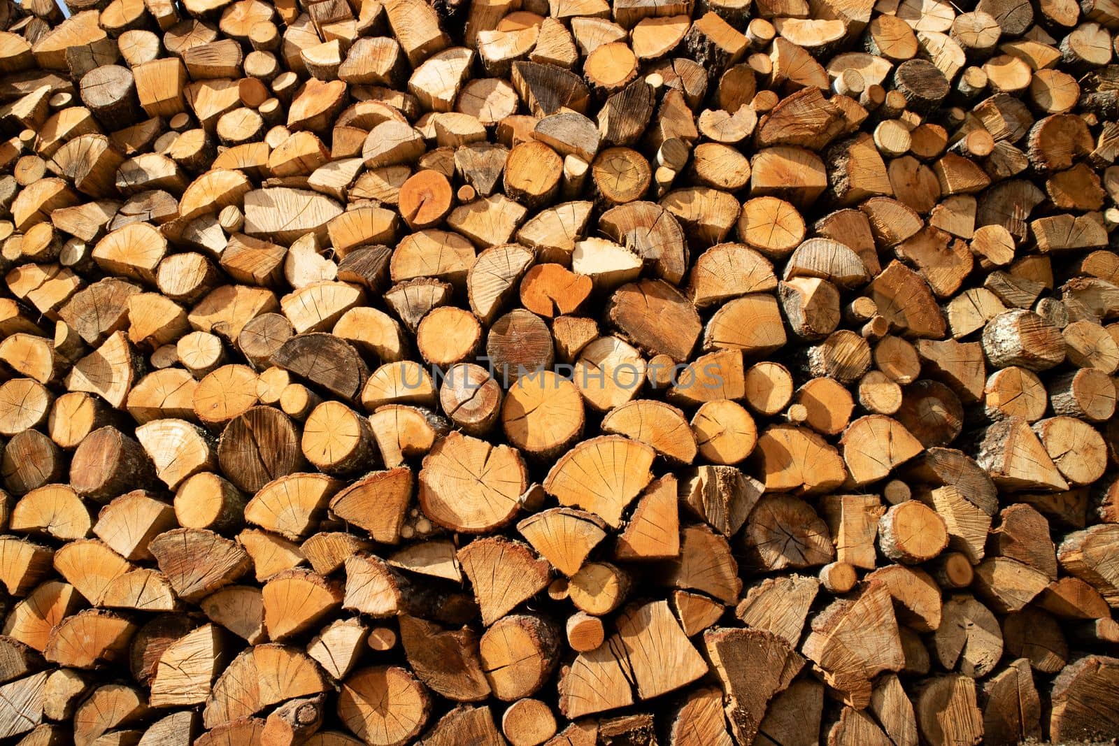 Stock of firewood for the winter  by fotografiche.eu