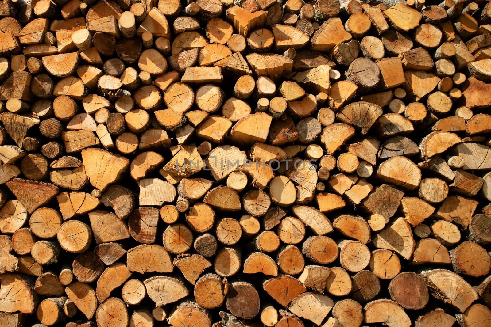 Photographic documentation of a large pile of firewood in reserve for the winter 