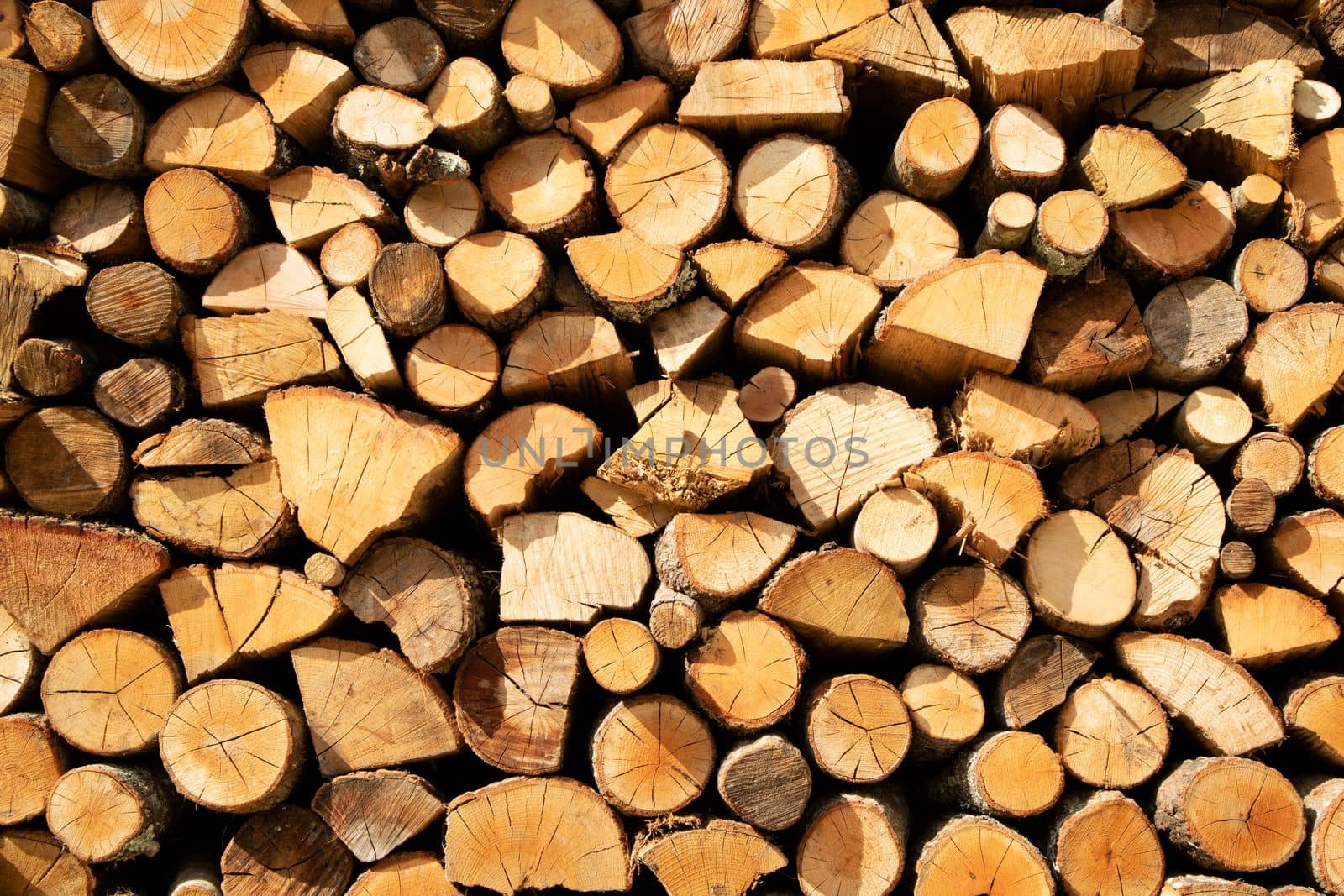 Photographic documentation of a large pile of firewood in reserve for the winter 