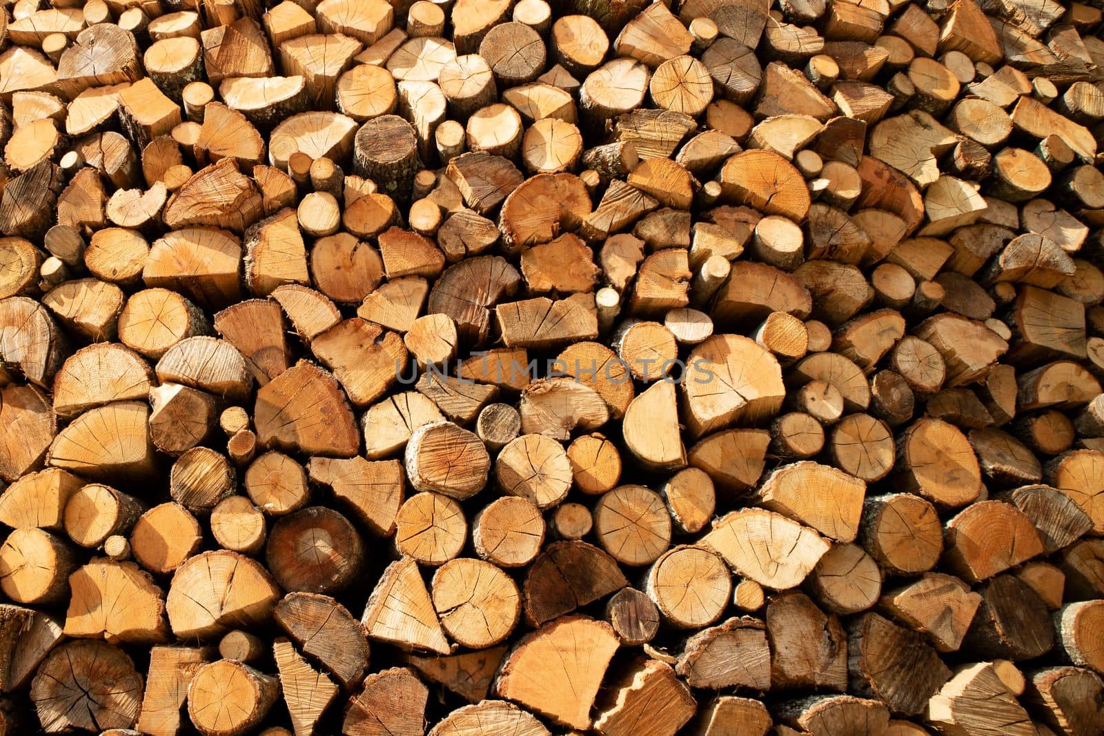 Stock of firewood for the winter  by fotografiche.eu