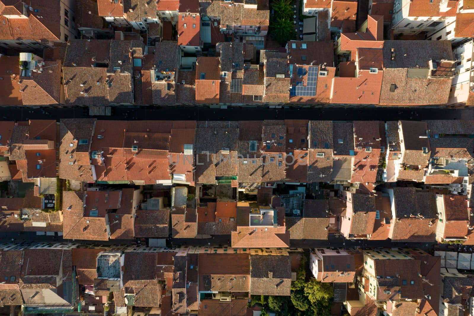 Aerial shot of the roofs of terracotta tiles  by fotografiche.eu