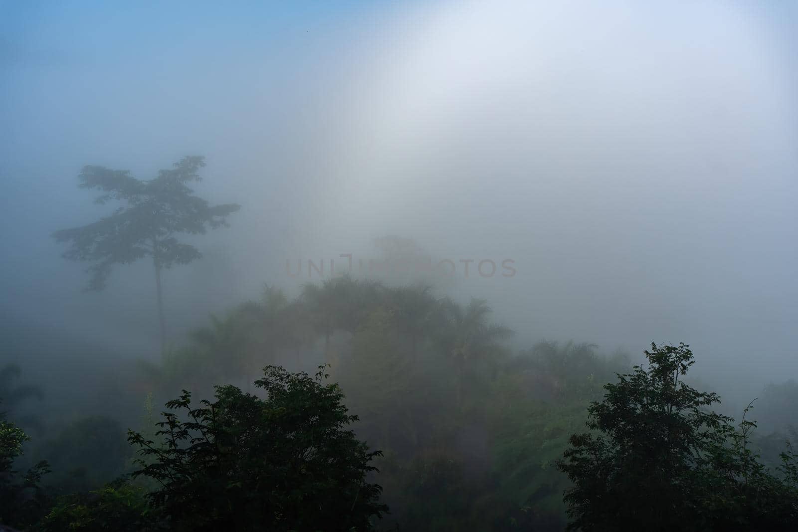 Natural phenomena. Fogbow or White rainbow occurs above the  mist.