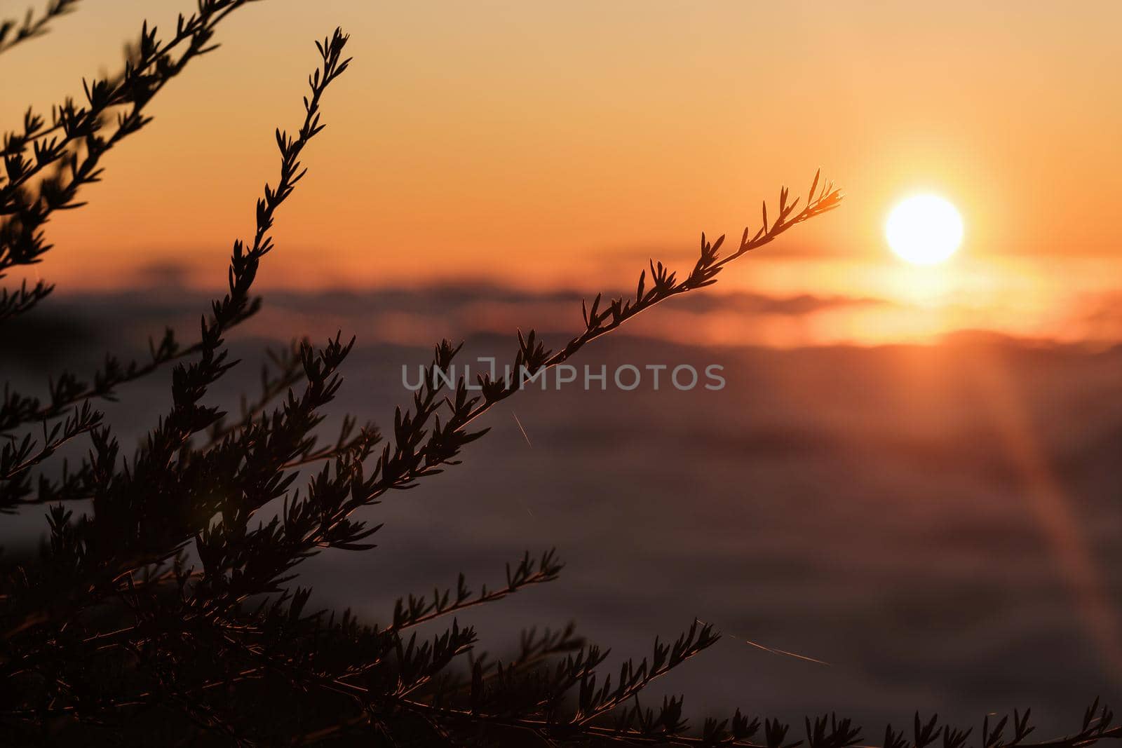 a spectacular sunset above the clouds in the national Park of the volcano Teide on Tenerife. Excellent sunset in the Canary Islands.